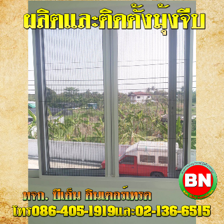 มุ้งจีบราคาส่ง มุ้งจีบราคาส่ง